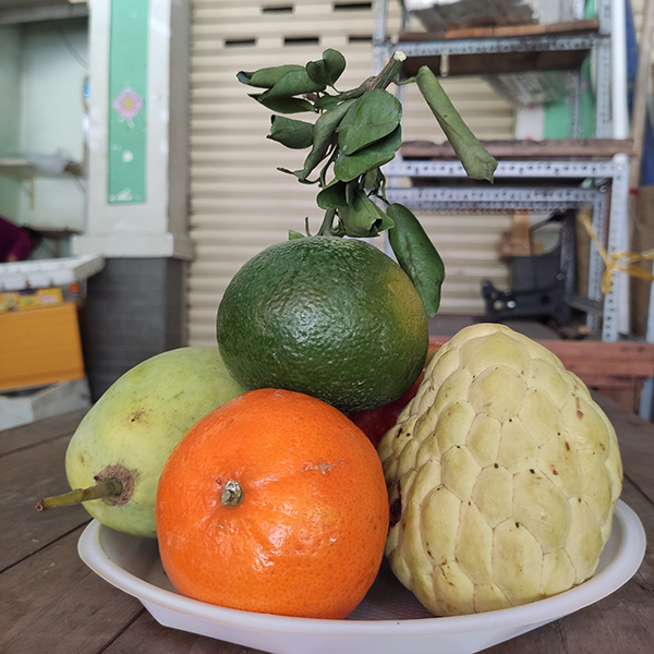 Mâm ngũ quả số 37